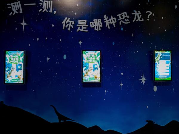 Advertising machine manufacturers provide diversified lcd advertising machine display screens(B)