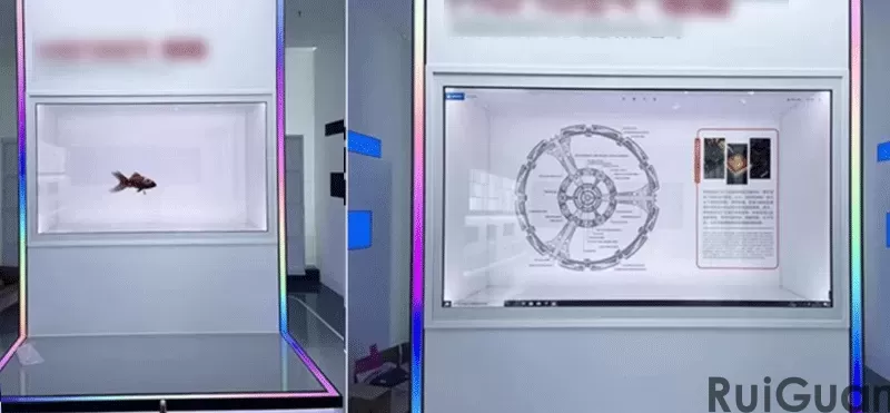 Transparent Screen Display (3).png