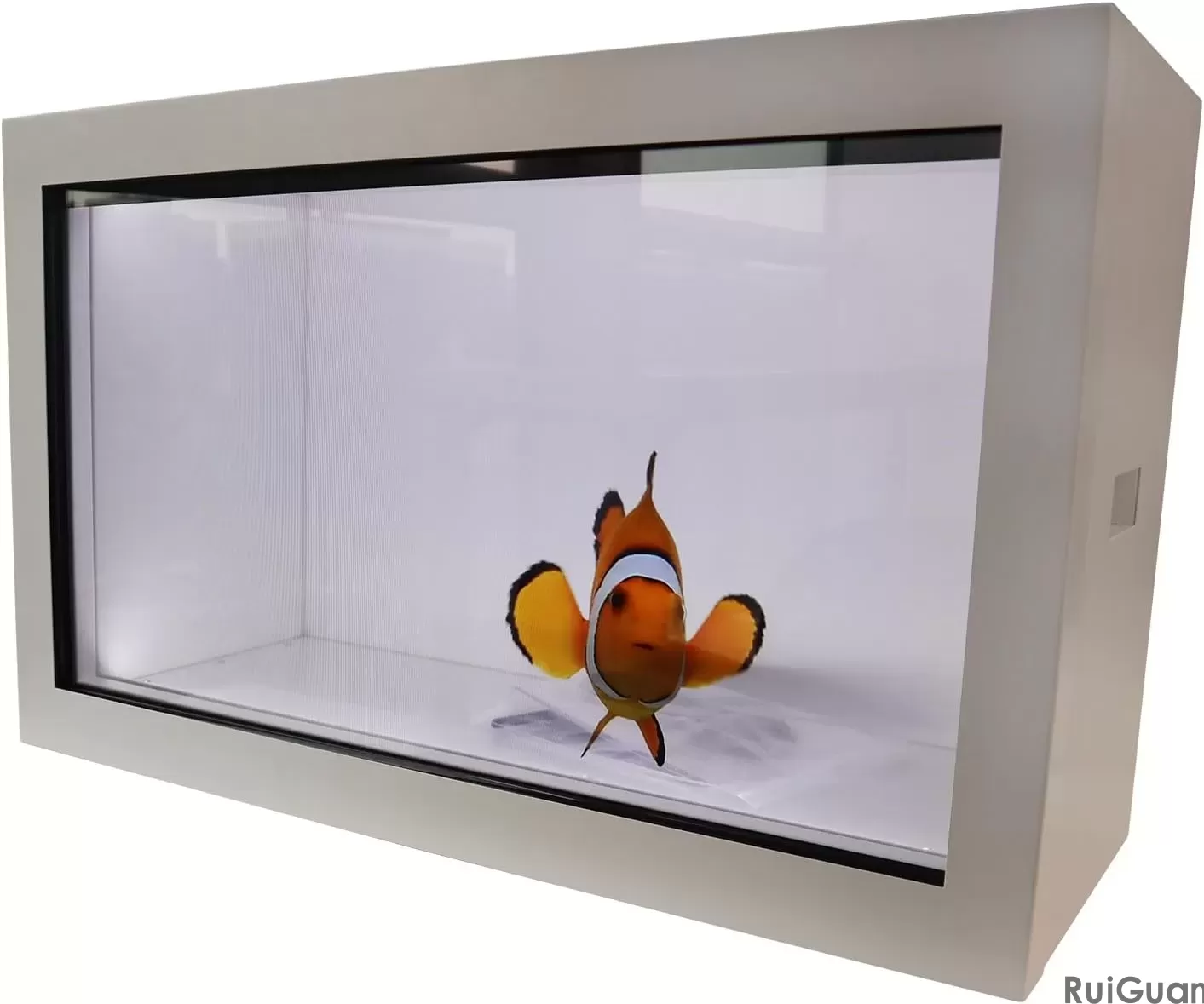 Transparent Screen Display (10).jpg